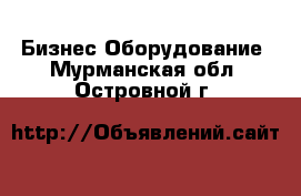 Бизнес Оборудование. Мурманская обл.,Островной г.